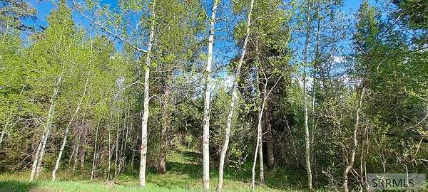 5.5 Acres of Land for Sale in Ashton, Idaho