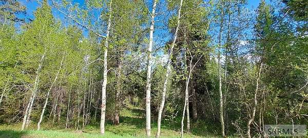 5.5 Acres of Land for Sale in Ashton, Idaho