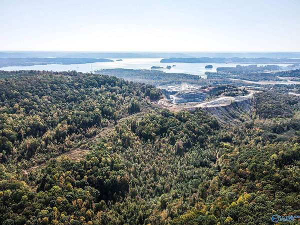 63 Acres of Recreational Land for Sale in Scottsboro, Alabama