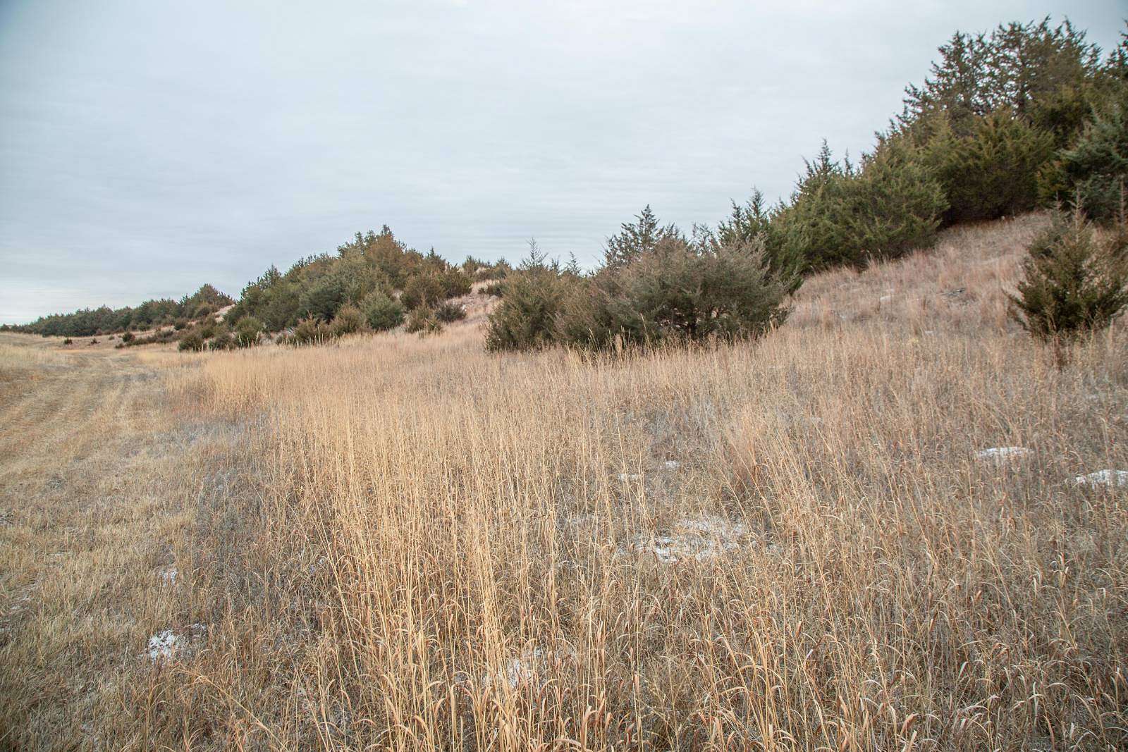 6.53 Acres of Recreational Land for Sale in Burwell, Nebraska