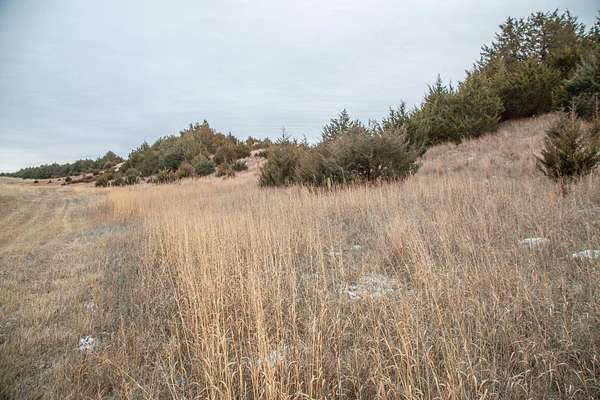 6.53 Acres of Recreational Land for Sale in Burwell, Nebraska