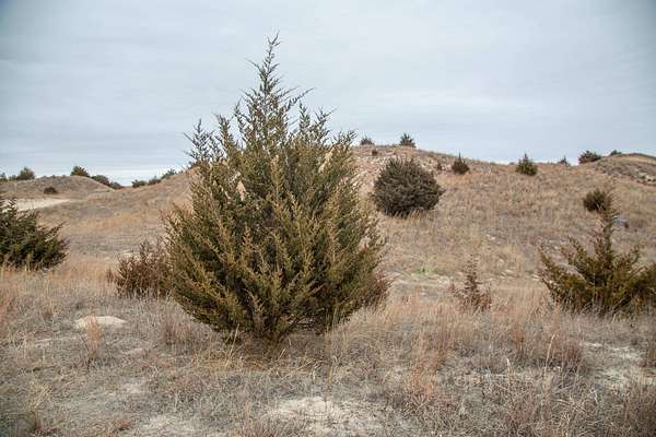 7.3 Acres of Recreational Land for Sale in Burwell, Nebraska