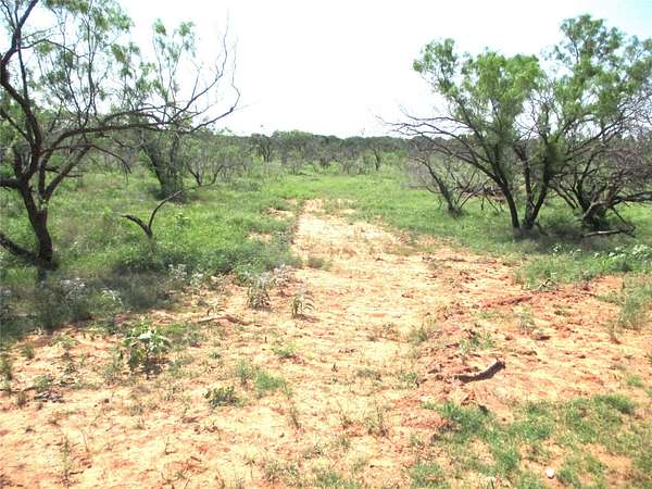 12.9 Acres of Land for Sale in Ringgold, Texas