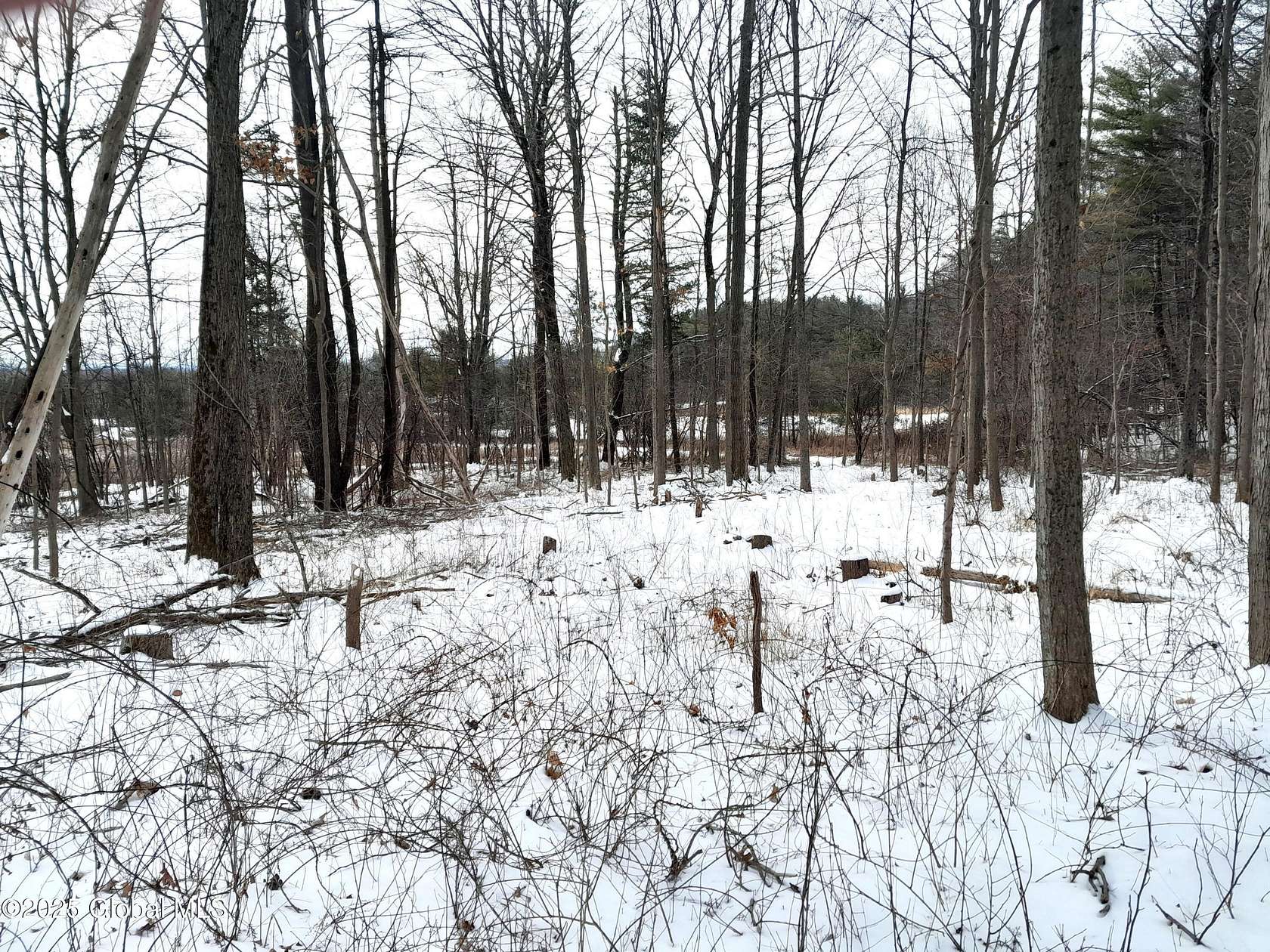 3 Acres of Residential Land for Sale in West Coxsackie, New York