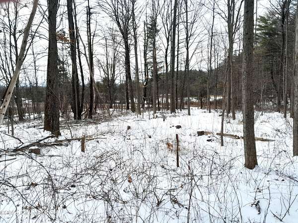 3 Acres of Residential Land for Sale in West Coxsackie, New York