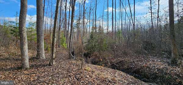 50.5 Acres of Recreational Land for Sale in Louisa, Virginia