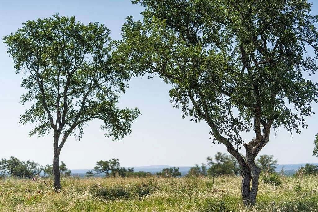 4.19 Acres of Residential Land for Sale in Kingsland, Texas