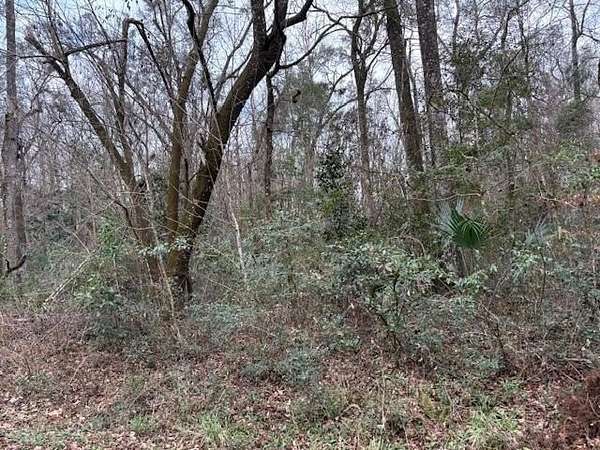 27.3 Acres of Recreational Land for Sale in Crawfordville, Florida