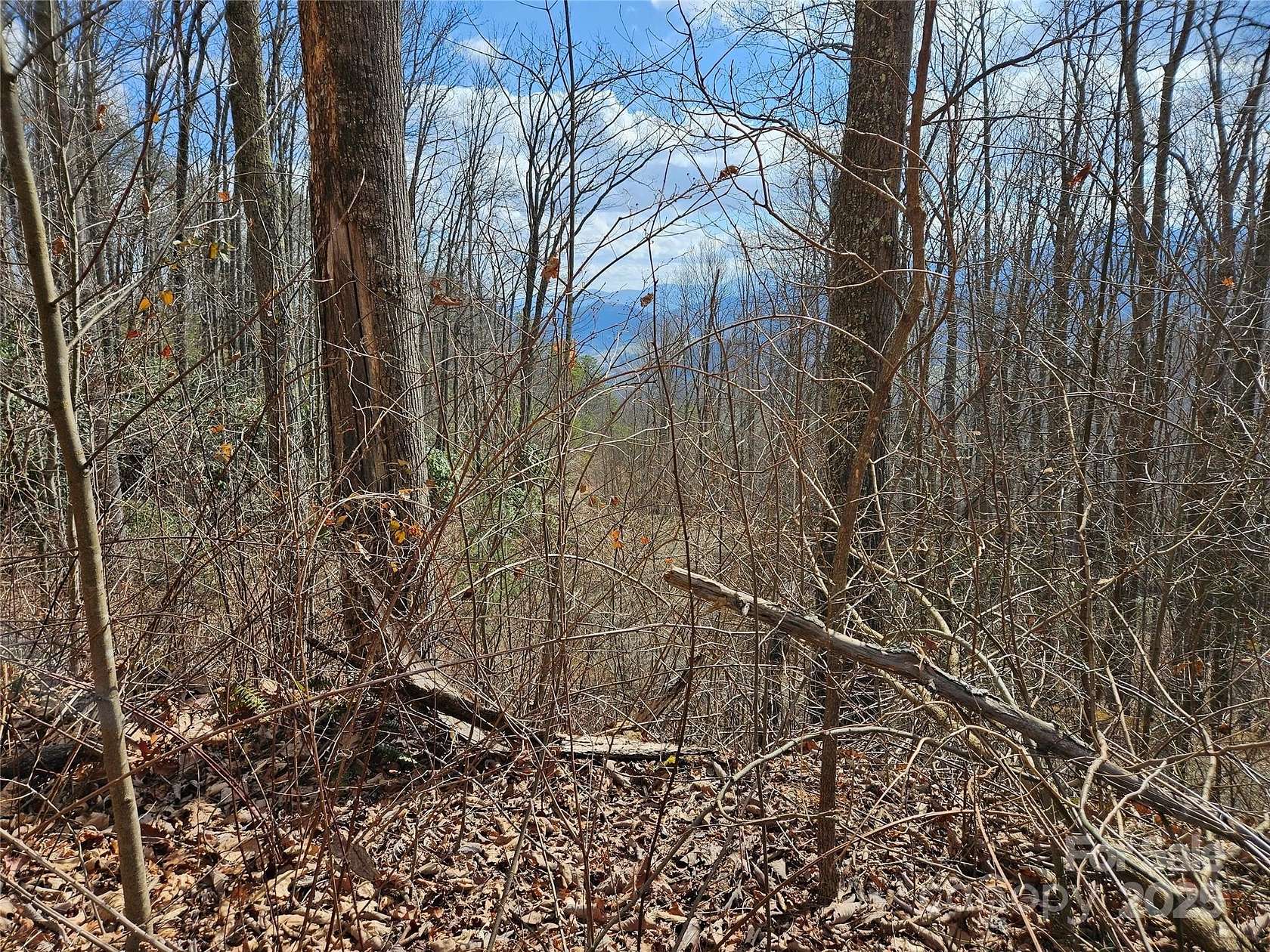 1 Acre of Residential Land for Sale in Waynesville, North Carolina