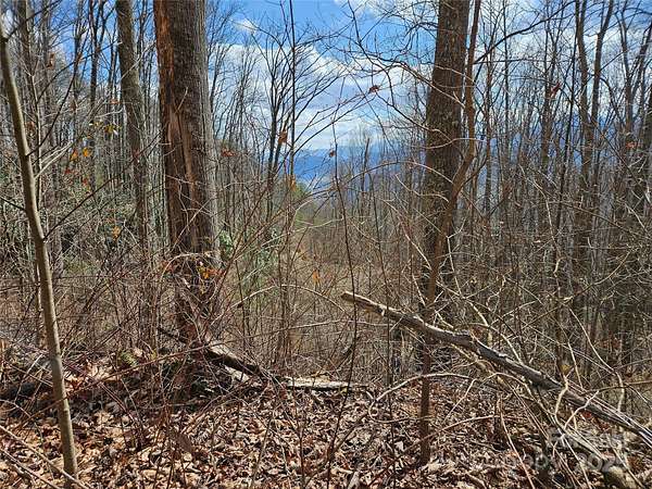 1 Acre of Residential Land for Sale in Waynesville, North Carolina