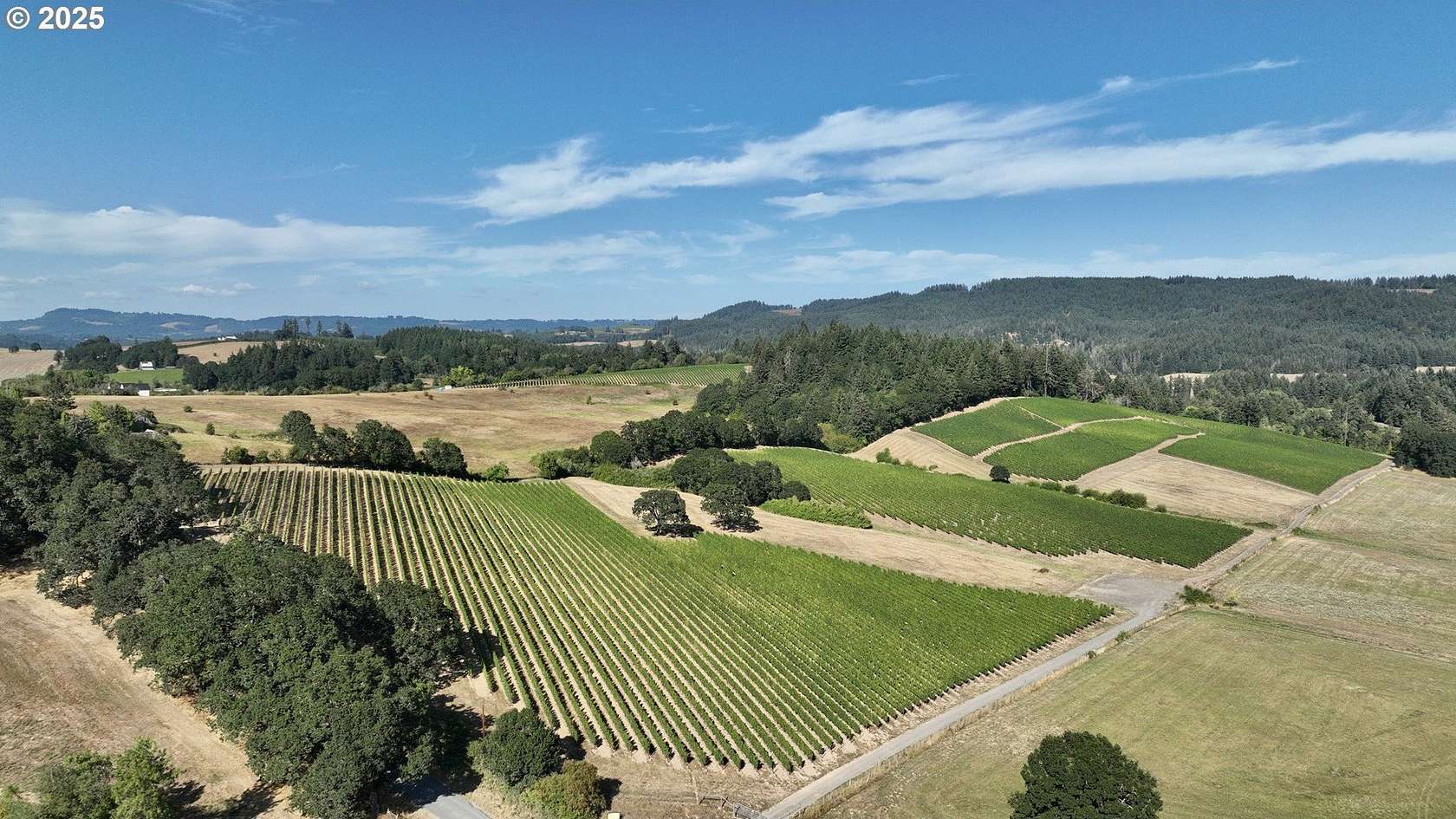 39.6 Acres of Agricultural Land for Sale in Carlton, Oregon