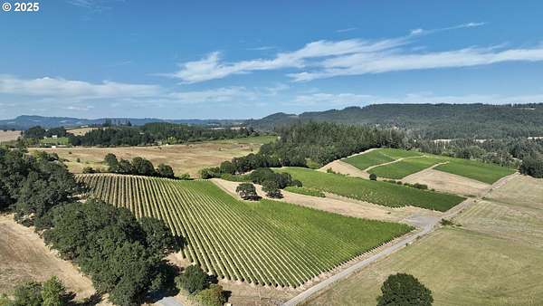 39.6 Acres of Agricultural Land for Sale in Carlton, Oregon