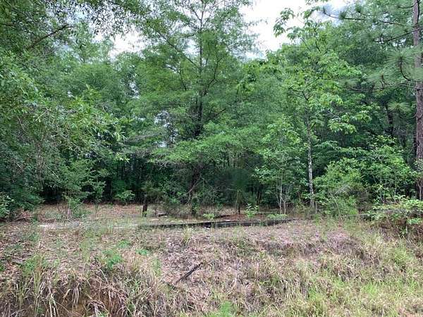 5 Acres of Residential Land for Sale in Wilmer, Alabama