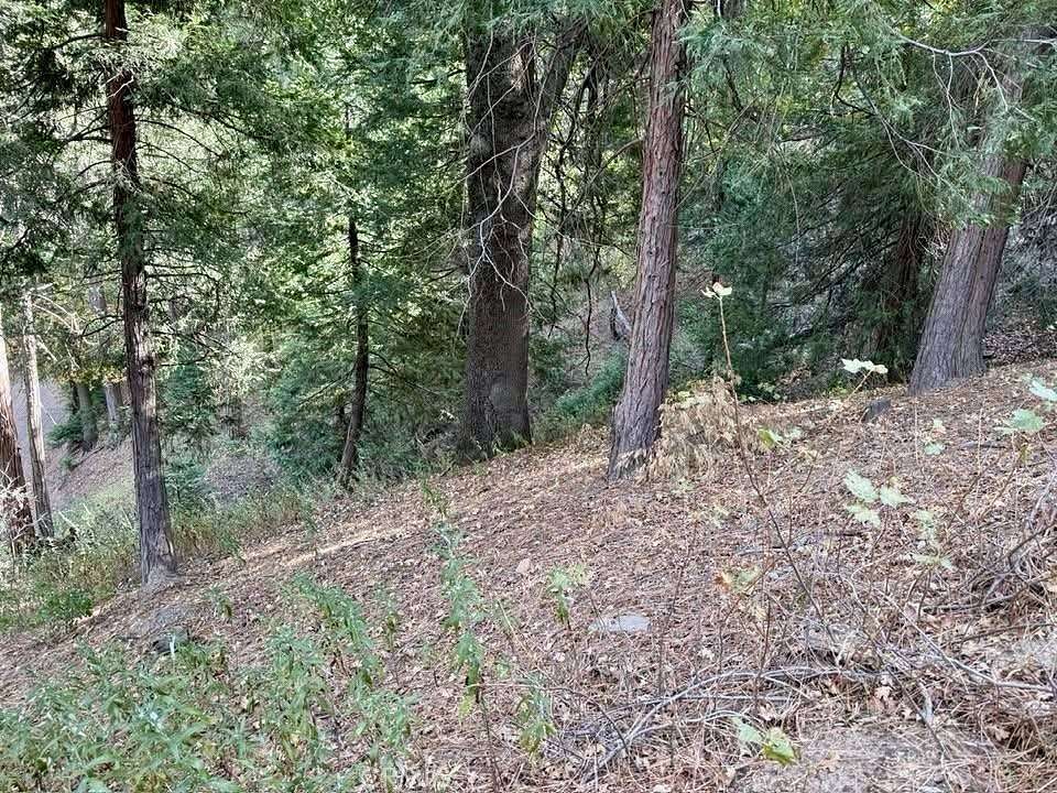 0.18 Acres of Land for Sale in Cedarpines Park, California