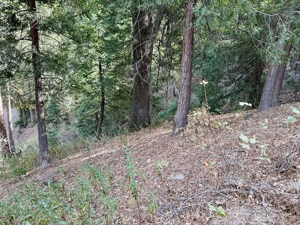 0.18 Acres of Land for Sale in Cedarpines Park, California