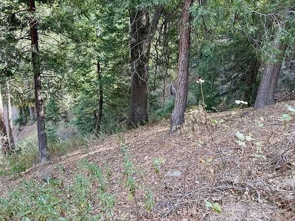 0.18 Acres of Land for Sale in Cedarpines Park, California