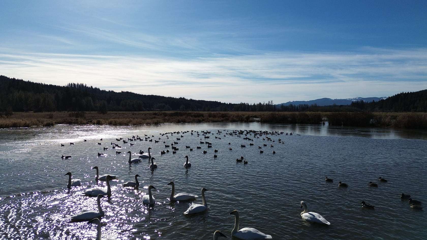 105 Acres of Recreational Land for Sale in Rochester, Washington