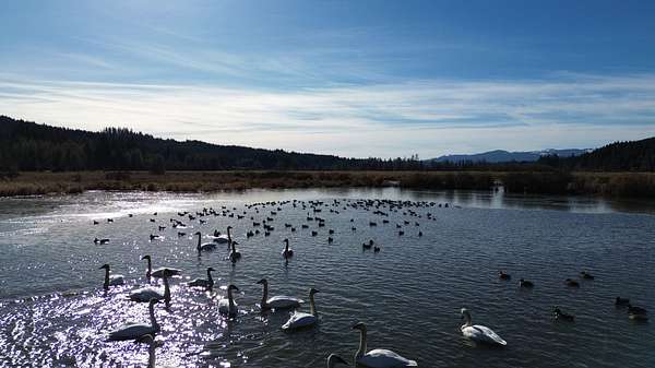 105 Acres of Recreational Land for Sale in Rochester, Washington