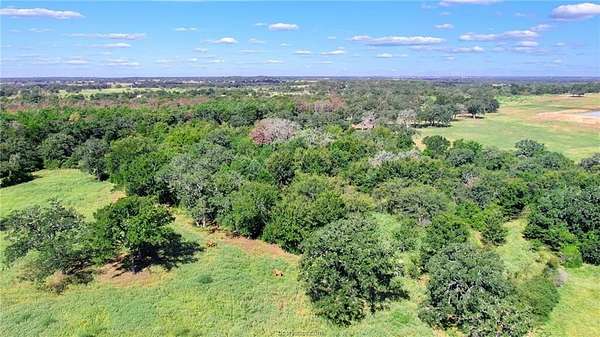 5.74 Acres of Residential Land for Sale in Caldwell, Texas