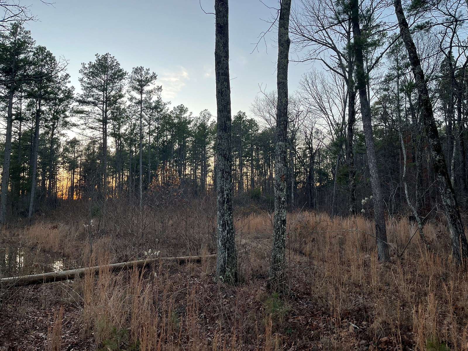 80 Acres of Land for Sale in Alread, Arkansas