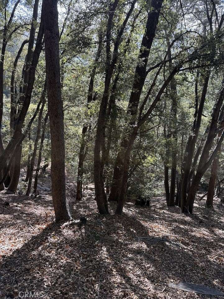 0.05 Acres of Land for Sale in Cedarpines Park, California