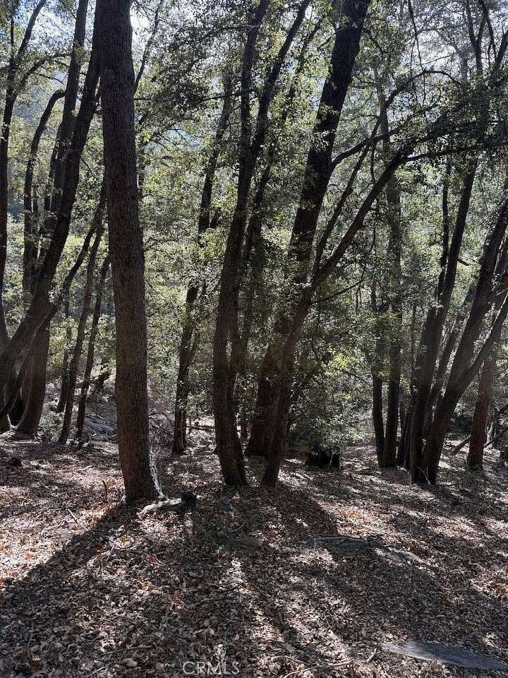 0.05 Acres of Land for Sale in Cedarpines Park, California