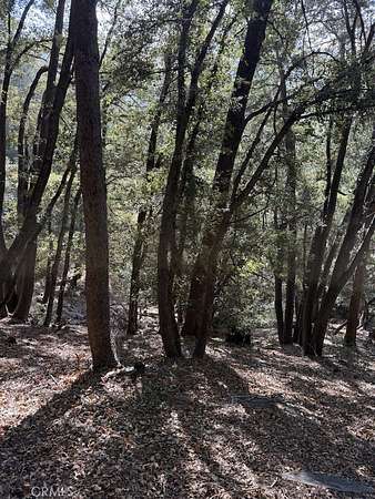0.05 Acres of Land for Sale in Cedarpines Park, California