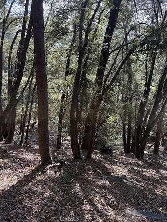 0.05 Acres of Land for Sale in Cedarpines Park, California