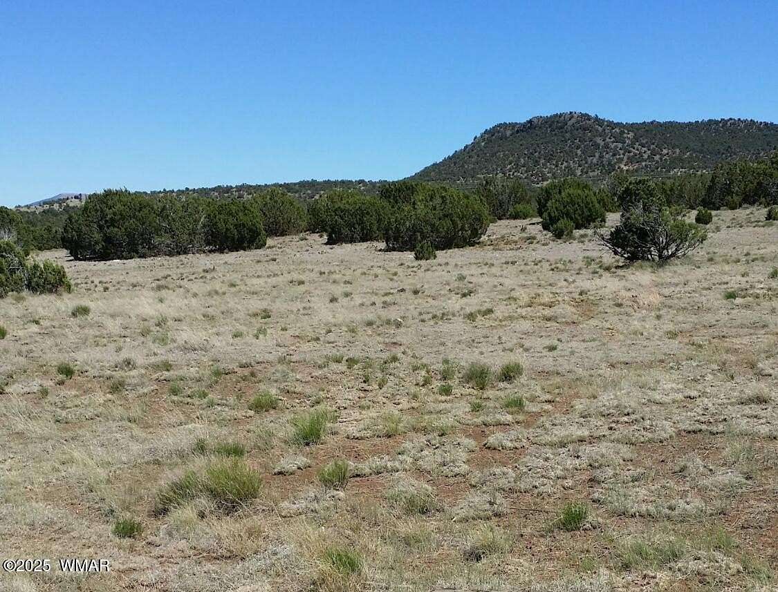 1.14 Acres of Residential Land for Sale in Concho, Arizona