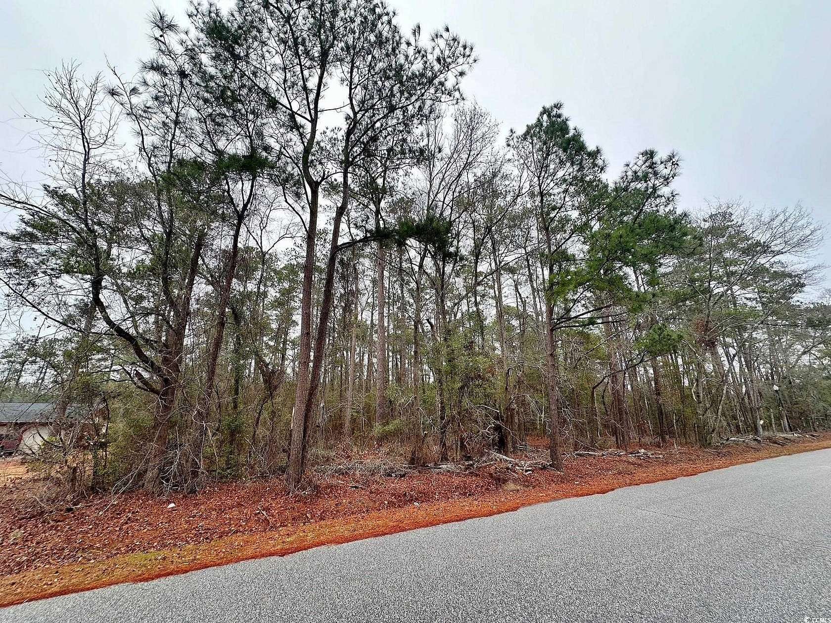 1.63 Acres of Residential Land for Sale in Nichols, South Carolina