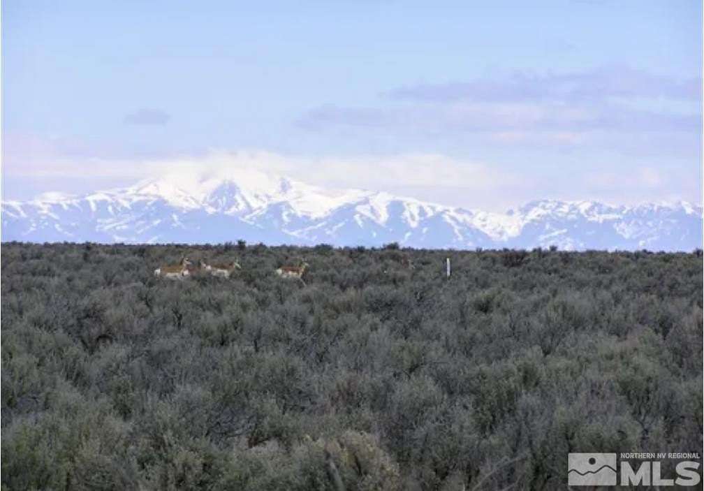 40.4 Acres of Commercial Land for Sale in Winnemucca, Nevada