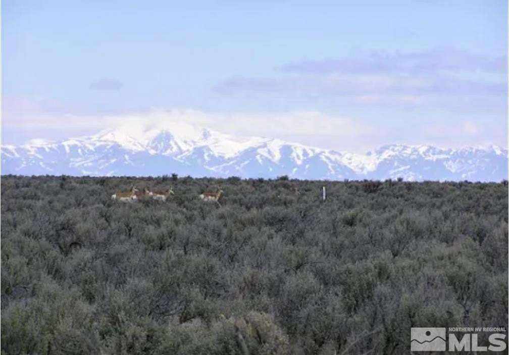 40.4 Acres of Commercial Land for Sale in Winnemucca, Nevada