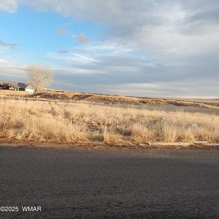 0.45 Acres of Residential Land for Sale in Eagar, Arizona