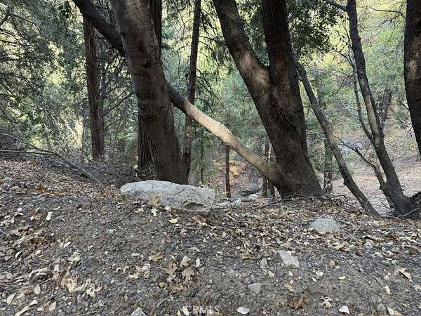 0.11 Acres of Land for Sale in Cedarpines Park, California