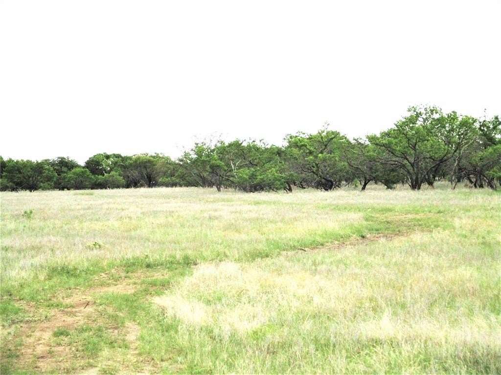 19.7 Acres of Agricultural Land for Sale in Jacksboro, Texas