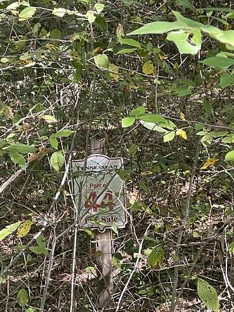 1 Acre of Land for Sale in Springville, Tennessee