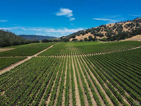 340 Acres of Agricultural Land with Home for Sale in St. Helena, California