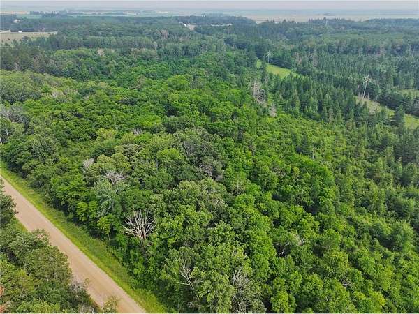 66 Acres of Recreational Land & Farm for Sale in Park Rapids, Minnesota
