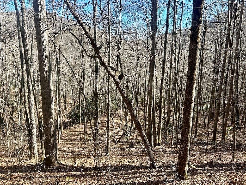 3.9 Acres of Residential Land for Sale in Whittier, North Carolina