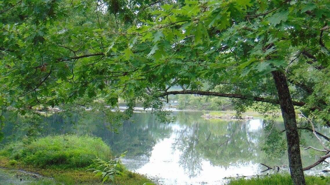 9.4 Acres of Residential Land for Sale in Lincoln, Maine