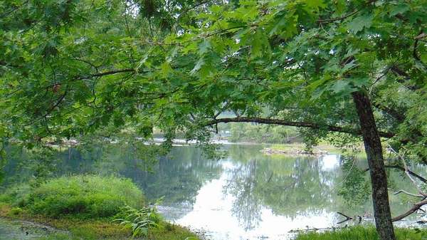 9.4 Acres of Residential Land for Sale in Lincoln, Maine