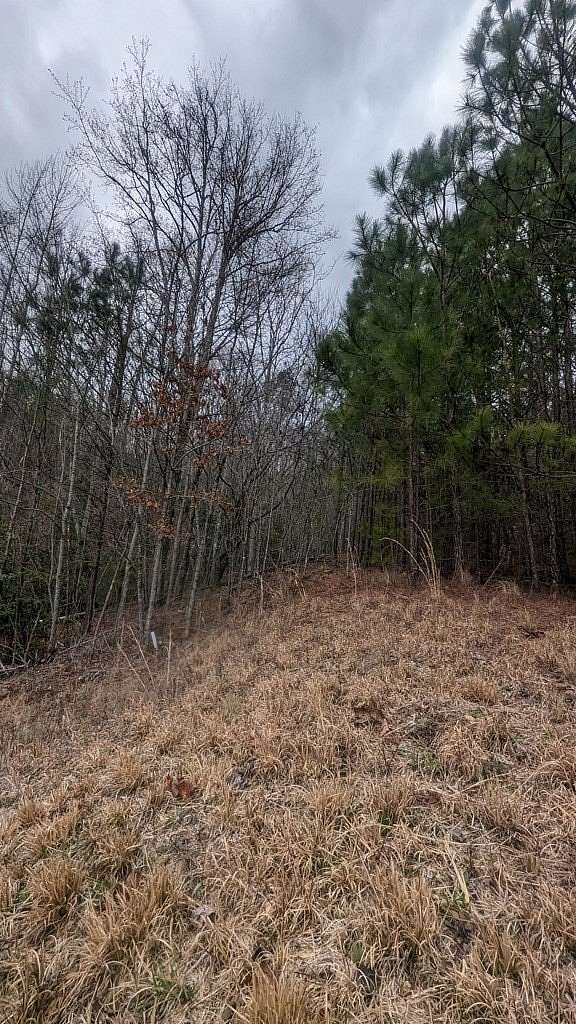 1 Acre of Land for Sale in Blairsville, Georgia
