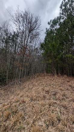 1 Acre of Land for Sale in Blairsville, Georgia