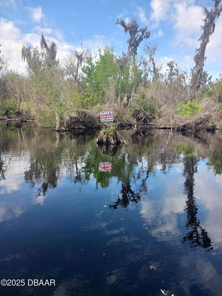 32.4 Acres of Recreational Land & Farm for Sale in Crescent City, Florida