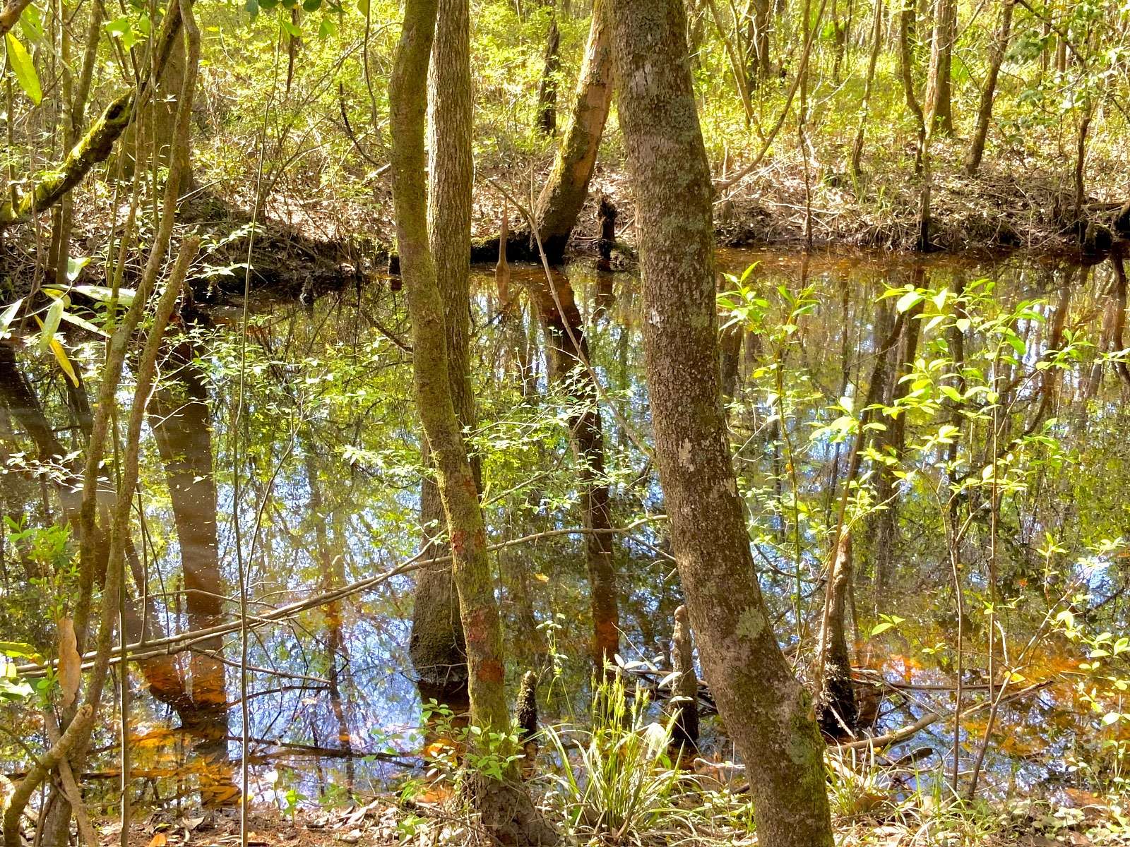 23.2 Acres of Recreational Land & Farm for Sale in Ponce de Leon, Florida