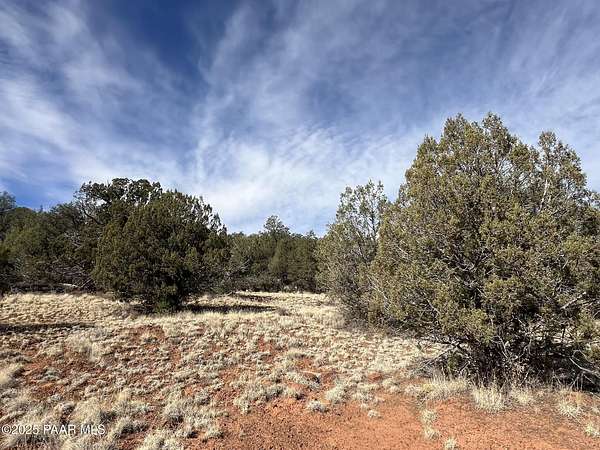 40 Acres of Land for Sale in Ash Fork, Arizona