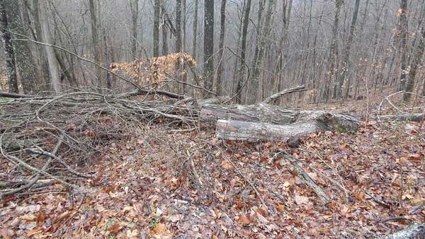 5 Acres of Residential Land for Sale in Smithville, Tennessee