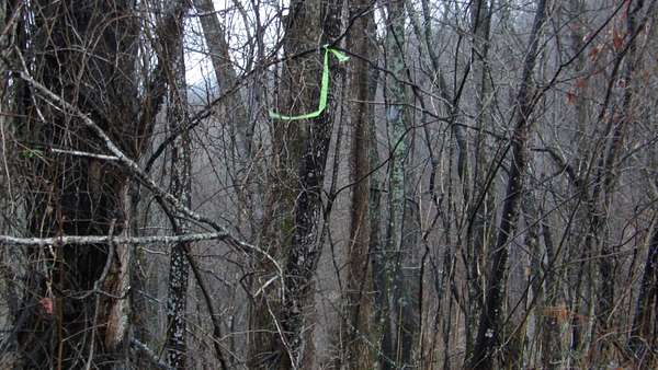 5 Acres of Residential Land for Sale in Smithville, Tennessee