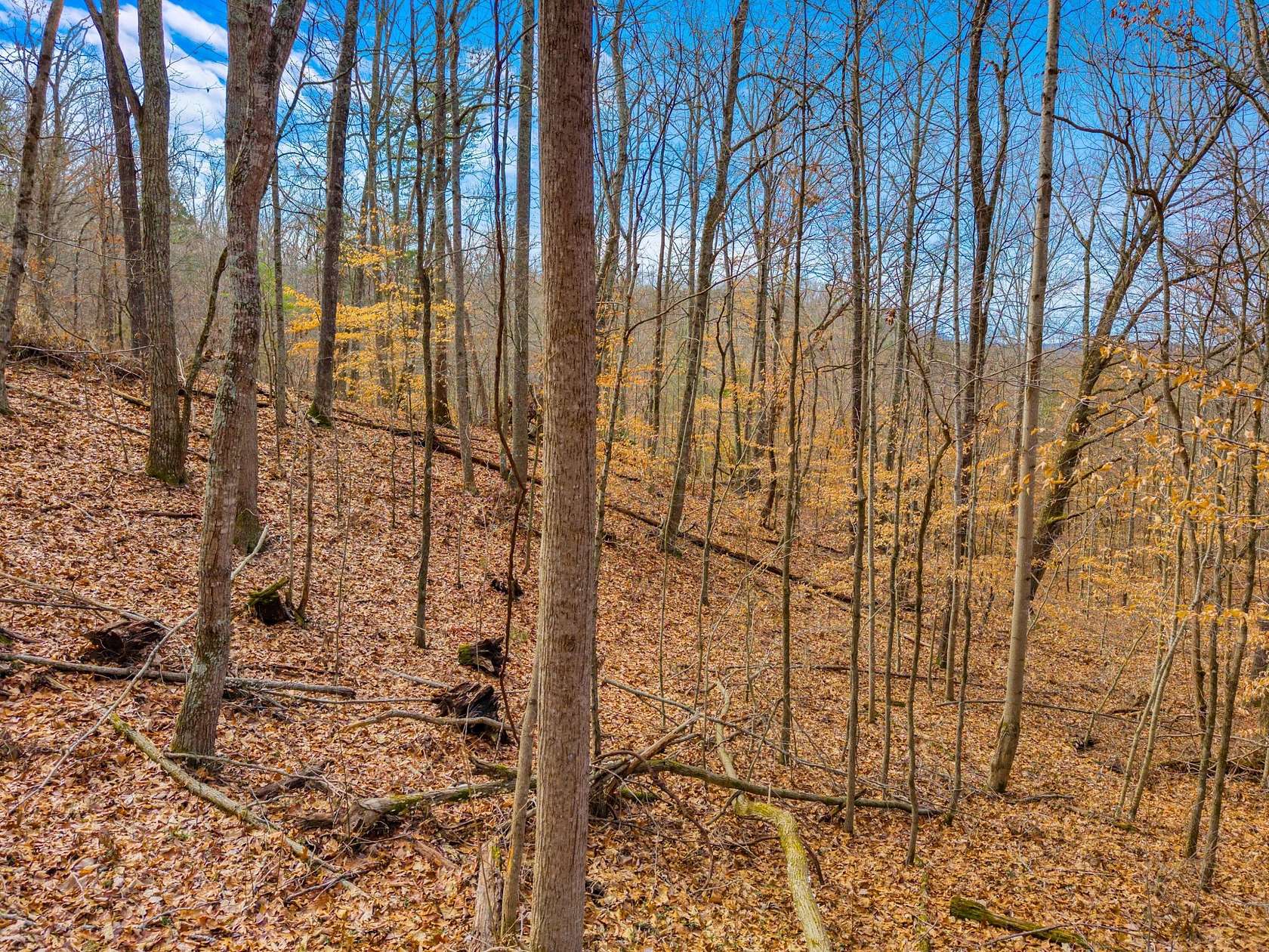 6 Acres of Residential Land for Sale in Dandridge, Tennessee