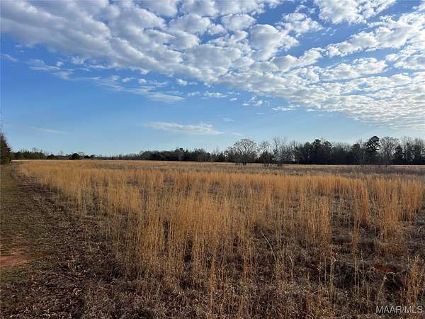 41.4 Acres of Recreational & Residential Land for Sale in Wetumpka, Alabama